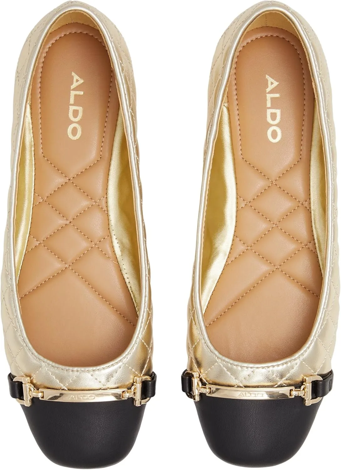 ALDO Women's Leanne Ballet Flat