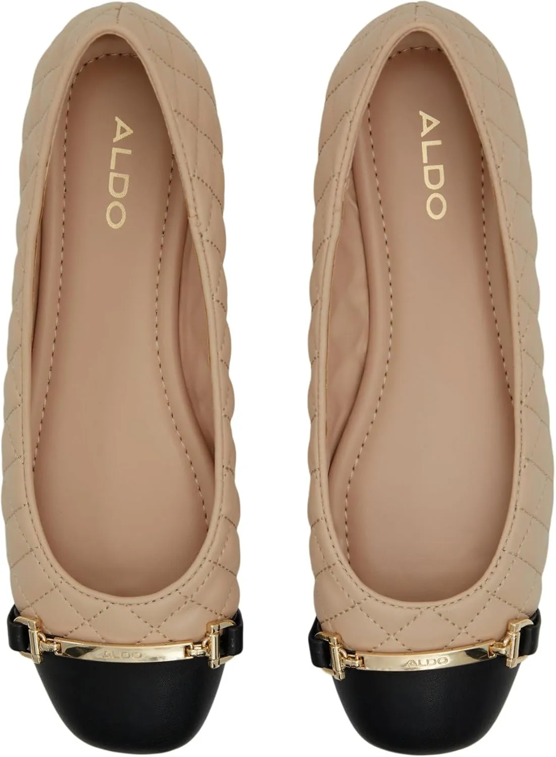 ALDO Women's Leanne Ballet Flat