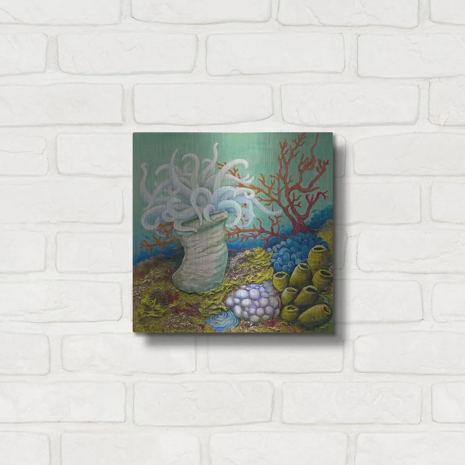 'Anemone Ballet' by Tim Marsh, Metal Wall Art, 12"x12"