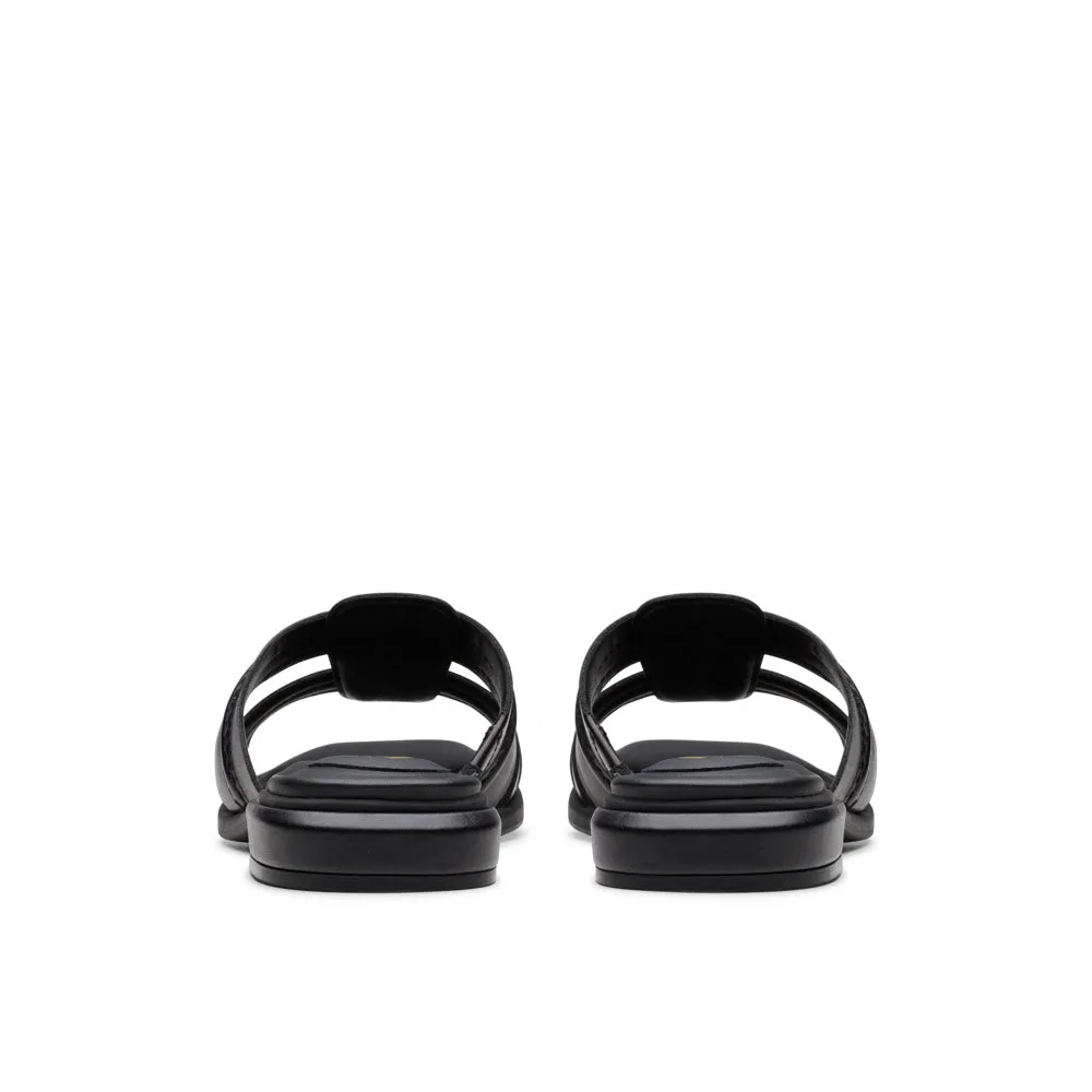 Ariany Mule
