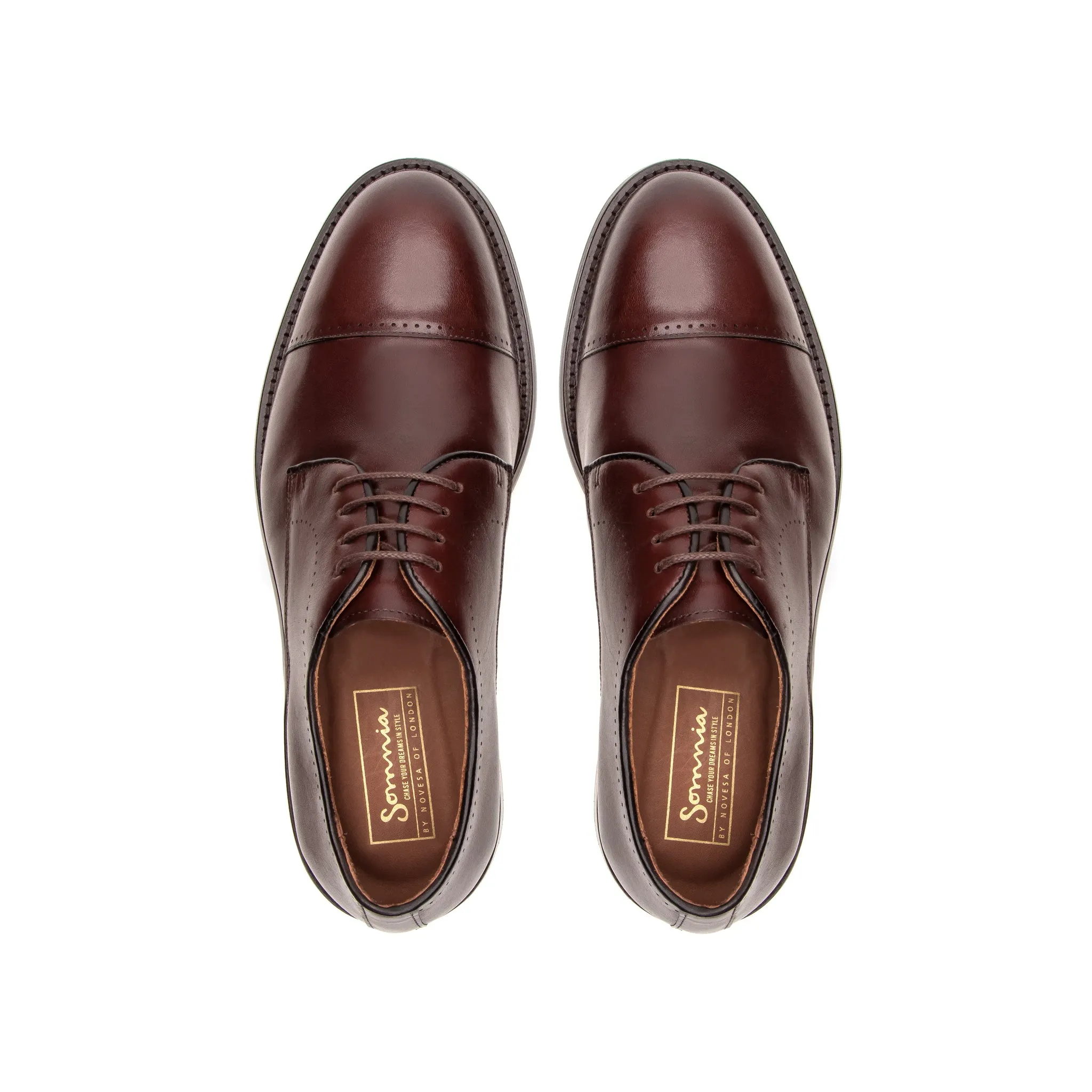 Bertrand Dress Oxford - Coffee