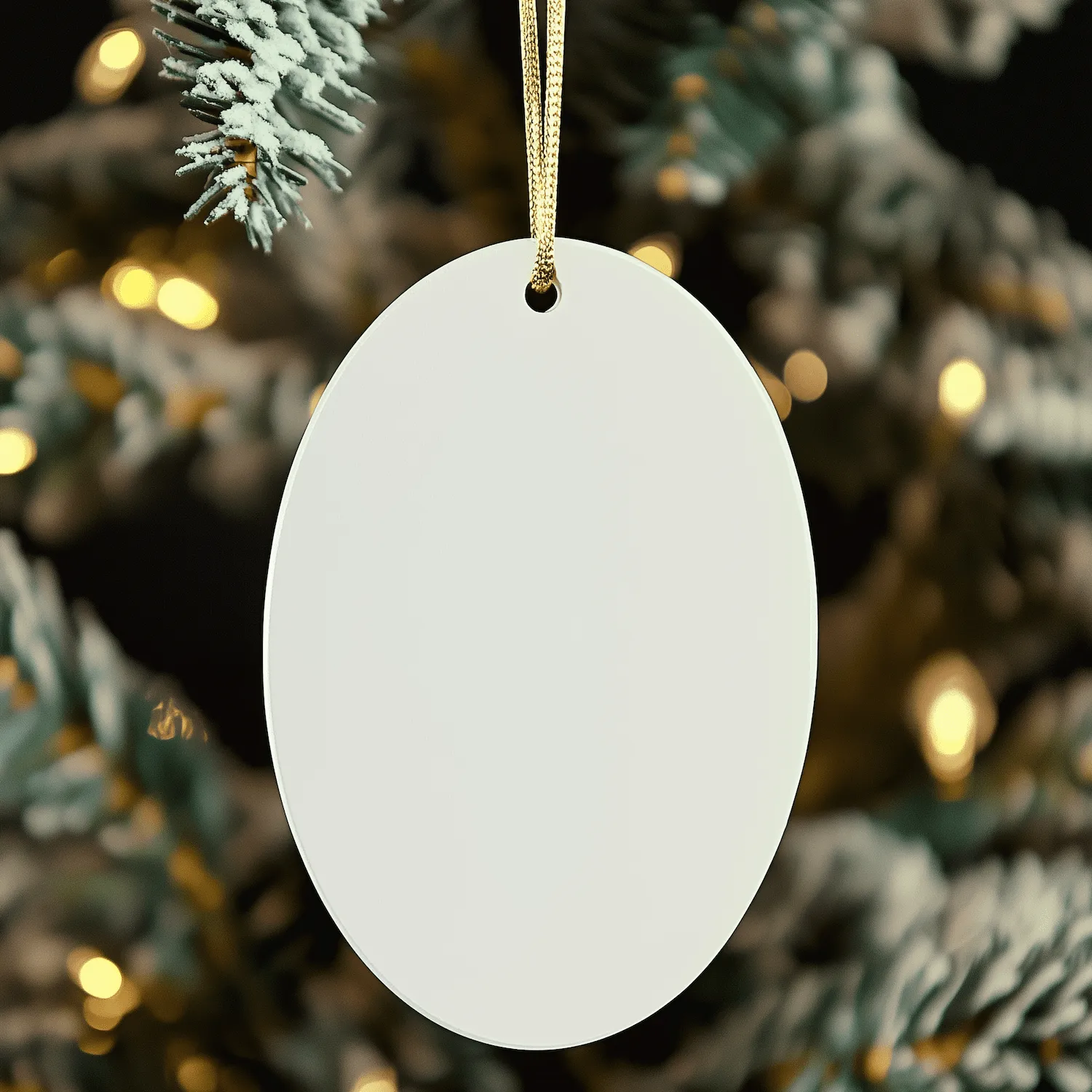 Best Personal Trainer Ever Ornament – Gift for Any Occasion