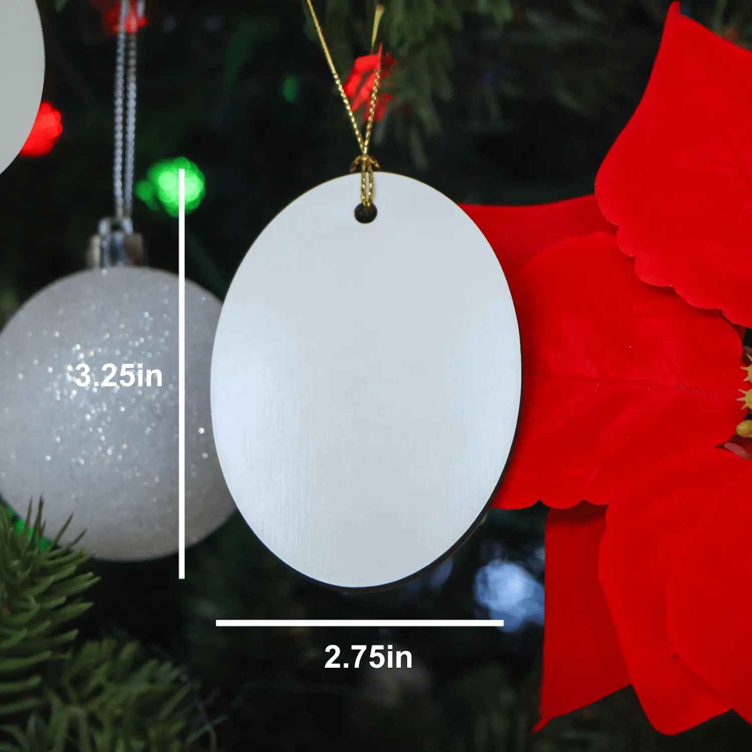 Best Personal Trainer Ever Ornament – Gift for Any Occasion