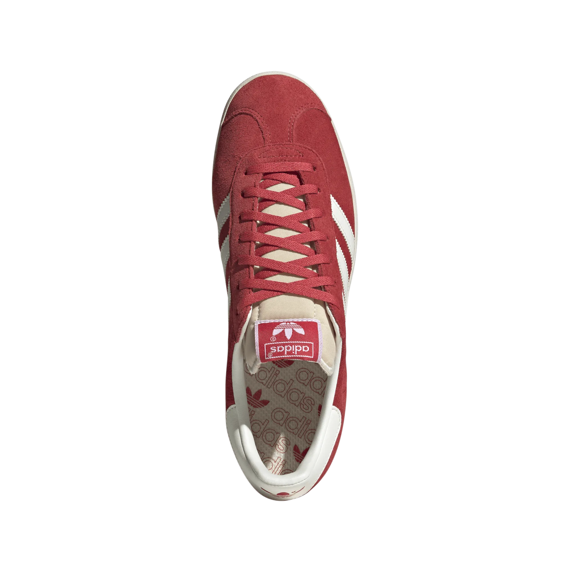 Gazelle