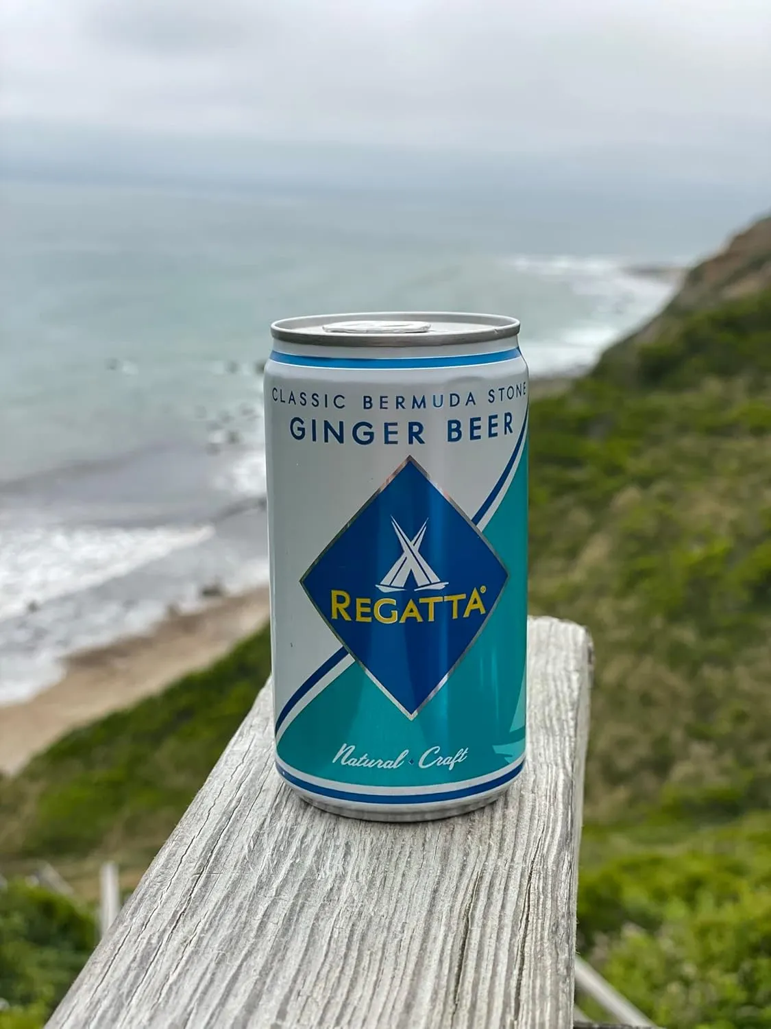 Ginger Beer, Regatta Craft Mixers, Premium Ginger Beer, All-Natural Ingredients, Non-GMO, 7.5oz, Case of 24 Sleek Cans