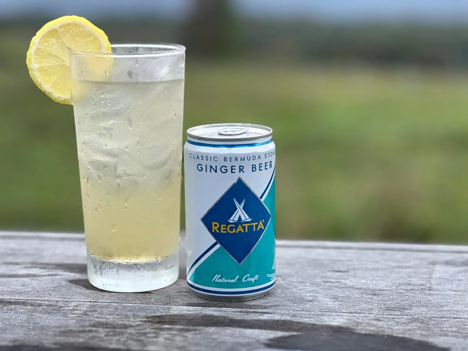 Ginger Beer, Regatta Craft Mixers, Premium Ginger Beer, All-Natural Ingredients, Non-GMO, 7.5oz, Case of 24 Sleek Cans