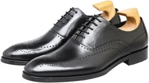 Mens Dress Shoes Work All-Day Comfort Casual Walking Shoes Lace-up Pointed Toe Classic Formal Business Shoes(Black,10.5)
