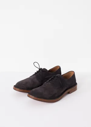 Reliable delivery Lace Up Lavagna Trusted