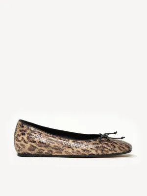 The Danza (Sample Sale)
